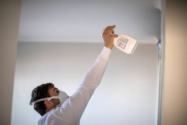 Best Black Mold Removal  in Malvern, IA