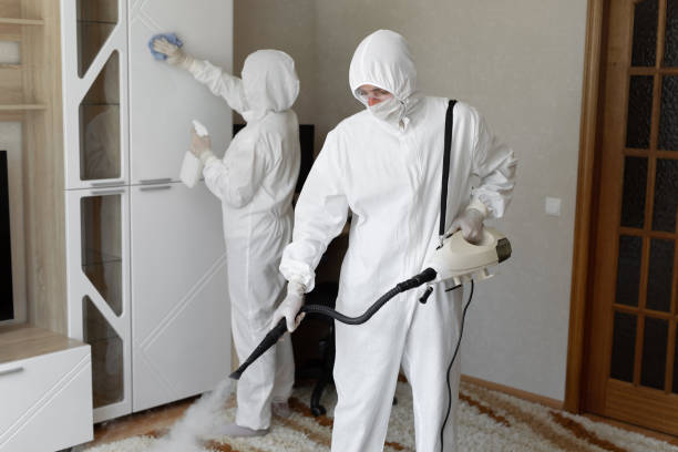 Mold Removal Process in Malvern, IA